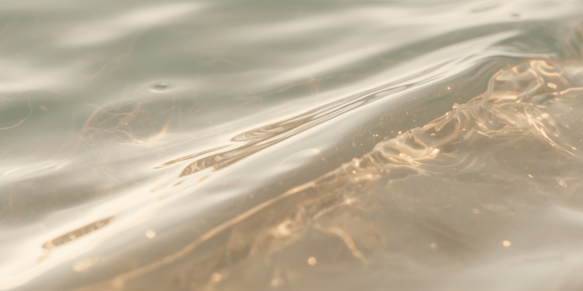 Agua y sostenibilidad