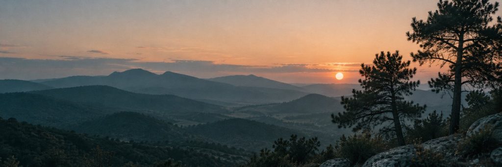 Montañas en penumbra azulada al atardecer con pinos silueteados, boletín de Flow Mico